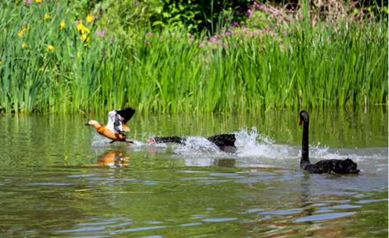 说明: //rcb.91cgvip.com/__local/5/A1/BF/141495AC6945C309DDB4AD2C889_6E35C68A_1210AD.png