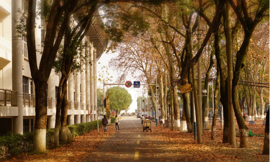 说明: //rcb.91cgvip.com/__local/F/DC/AD/26AAF68465C39908E951504ECA2_E70C2E5D_119062.png